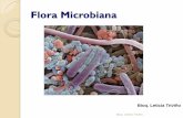Flora Microbiana - ecaths1.s3.amazonaws.comecaths1.s3.amazonaws.com/microbiologiaenfermeros/1221990396.sist... · producir efectos negativos. Ej. : flora intestinal: formada por bacterias,