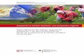 Adaptación al Cambio Climático. Una perspectiva … · medidas de adaptación al cambio climático en los países andinos 5.4. Factores de éxito en procesos de implementación