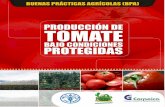Cian NegroMagenta Yellow - fao.org · manual tÉcnico buenas prÁcticas agrÍcolas –bpa- en la producciÓn de tomate bajo condiciones protegidas jorge jaramillo n. viviana p. rodriguez.