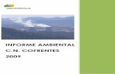 INFORME AMBIENTAL C.N. COFRENTES 2009 · menos importantes como son: la lluvia ácida, el SMOG fotoquímico, la contaminación de las aguas superficiales y/o subterráneas, el agujero