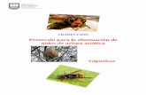 Protocolo para la eliminación de nidos de avispa … · En dichas trampas también se atrapan otros insectos autóctonos y que cumplen su función en la naturaleza, por lo ... Para