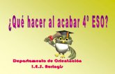 Departamento de Orientación I.E.S. Auringis · Andalucía 2 h -Cultura cienfífica (bil) o TIC (no bil) 2 h OPCIÓN CCSS: -Cultura emprendedora y empresarial 2 h -Cultura cienfífica