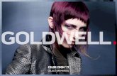 Color zoom ’17 - goldwell.es · a sus ideas de corte, color y ... nuestras cabezas técnicas seguros y estilos/texturas ... Colors aplicados en la superficie del cabello y la ...