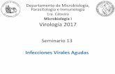 Microbiología I Virología 2017 - Facultad de Medicina - Universidad de … · Virus influenza A (H1N1v): la pandemia de 2009 Exantemas Sarampión Rubéola Parvovirus Entrada Sarampión