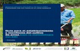 y monitoreo del cultivo de arroz bajo la metodología … · a todos los que estén trabajando en la producción de arroz en ALC, ... ventajas del sistema, y en 1997 comenzó a ...