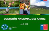 COMISIÓN NACIONAL DEL ARROZ - odepa.gob.cl fileel marco del trabajo realizado en la Comisión Nacional del Arroz, ... para la siembra en ... variedades de arroz que presenten ventajas