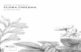 PINTA Y CALCA IV FLORA CHILENA · Este año presentamos una parte de la abundante flora ... hasta la región de La Araucanía en la zona litoral que crece ... O’Higgins 651, Santiago