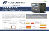 CALDERA - flowing.com.ar · CALDERA Calderas, Termotanques y ... · Tanque de expansión ... · Purga de aire automático · Modo economizador (carga parcial) Gabinete en Acero Inoxidable