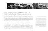 POLÍTICA DE PROTECCIÓN A LA DIVERSIDAD …observatorioetnicocecoin.org.co/...diversidad_etnolinguistica(1).pdf · POLÍTICA DE PROTECCIÓN A LA ... Guatemala, Venezuela, Paraguay,