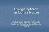 Etología aplicada en fauna silvestre - …amaltea.fmvz.unam.mx/ETOLOGIA/TEMAS/FAUNA/clase fauna.pdf · activos a los animales. Enriquecimiento ambiental Definiciones Incrementar