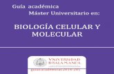 BIOLOGÍA CELULAR Y MOLECULAR - usal.es fileMáster Universitario en “Biología Celular y Molecular ” • Guía Académica 2014-2015 3 “TÍTULO” MÁSTER UNIVERSITARIO EN: BIOLOGIA