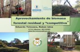 forestal residual y “competitiva - INIA HomePage · 2013-05-14 · “Aprovechamiento energético de la biomasa forestal ... Proyectos Fin de Carrera ETSI Industriales/Montes ...