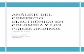 ANÁLISIS DEL COMERCIO ELECTRÓNICO EN …biblioteca.unitecnologica.edu.co/notas/tesis/0063926.pdf · 2.4 Algunas estadísticas del comercio electrónico en los países Latino ...