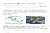 Reporte Meteorológico para la Agricultura - smn.conagua…smn.conagua.gob.mx/tools/DATA/Formularios/Reporte Meteorológico... · 1-10-2018 5/11. Precipitación y su anomalía registrada