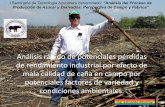 Análisis rápido de potenciales pérdidas de rendimiento … · 2011-09-23 · situación existente en la industria azucarera ante todonacionaldelosúltimosaños,yquesinosele pone
