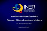 Proyectos de Investigación del INER Taller sobre ... · proyectos de investigación modelo cinÉtico e implementaciÓn de reactor piloto para cogasificaciÓn de residuos sÓlidos