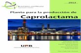 Planta para la producción de Caprolactama - ddd.uab.cat · En definitiva, los gastos previos van asociados a la gestión administrativa de la empresa, a los estudios de mercado,