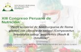 XIII Congreso Peruano de Nutrición - sopenut.org.pe · XIII Congreso Peruano de Nutrición “Perfil sensorial de hamburguesa de llama glama) con cáscara de sanqui (Corryocactus