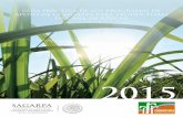 GUÍA PRÁCTICA DE LOS PROGRAMAS DE … de interes/GUIA...Guía ráctica de los rogramas de Apoyo de la AGARPA para productores de aña de Azúcar 2015 3 1.5 BIOEnERGÍA Y SUSTEnTABILIDAD26
