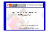 SALUD Y LA SEGURIDAD CIUDADANA - …bvsper.paho.org/videosdigitales/matedu/20101214_seguridad_minsa... · LA SEGURIDAD CIUDADANA EN EL PLAN NACIONAL CONCERTADO DE SALUD 2007-2020.