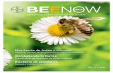 BEENOW - beecare.bayer.com · EN EL CAMPO Una fuente de frutas a ... tecimiento de alimentos accesibles y de buena calidad en todo el ... las colmenas se pueden retirar o cubrir durante