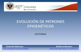 EVOLUCIÓN DE PATRONES EPIGENÉTICOS - …bioinfo2.ugr.es/presentaciones/EvolMol/Modificaci%F3nHistonas.pdf · EVOLUCIÓN DE PATRONES EPIGENÉTICOS MODIFICACIONES DE LAS HISTONAS