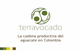 La cadena productiva del aguacate en Colombia - … · Ministerio de agricultura y desarrollo rural - MADR Organización, nacional y caso de Antioquia Consejo Nacional del Aguacate