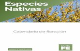1 Ministerio de Medio Ambiente - Gobierno de Santa Fe · Lapacho rosado Handroanthus impetiginosus (Mart. ex DC.) 35 C Rosadas Mamón del monte Carica quercifolia (St. Hil.) Hieron.