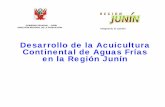 2 Desarrollo de la acuicultura en Junín - produce.gob.pe · “gamitana” Piaractus brachypomus ... • Desarrollo de trabajos de investigación en la formulación de alimento balanceado