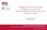 Biología y control de hongos patógenos causantes de ... · •Viñas del Vero (2007-09) ... Determinación de los períodos de riesgo infectivo ... Integración de medidas culturales
