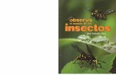 insectos · toda la corteza terrestre. Como ejemplo de insectos beneficiosos, pode- rnt» mencionar, entre IOS que nos dan productos. a la abeja, el gusano