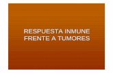 RESPUESTA INMUNE FRENTE A TUMORES - … · destruir tumores mediante mecanismos similares a los utilizados para destruir microbios ... el sistema inmune no desencadena una respuesta