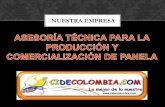 NUESTRA EMPRESA - cidecolombia.com³n... · • cultivos convencionales y orgÁnicos • diseÑo de procesos • estructuraciÓn de proyectos • solicitud de crÉditos • sistemas