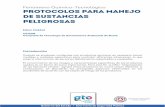 Fenómeno Químico-Tecnológico PROTOCOLOS PARA MANEJO DE ...dga-ssp.guanajuato.gob.mx/atlas/qt/documentos/protocolo.pdf · Después de la fuga de un gas licuado, la fase líquida