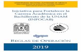 Iniciativa para Fortalecer la Carrera Académica en el ...dgapa.unam.mx/images/infocab/2019_infocab_reglas_operacion.pdf · en el Bachillerato de la UNAM (INFOCAB), así como de emitir