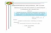 UNIVERSIDAD NACIONAL DE LOJAdspace.unl.edu.ec/jspui/bitstream/123456789/14500/1/JAMES EDMUN… · 4.1.5 Delito 4.1.6 Contaminación ... 4.3.3 Texto Unificado de Legislación Ambiental