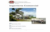 Ingeniería Comercial - Universidad Libre Seccional …unilibrepereira.edu.co/portal/images/pdf/pe_icomercial.pdf · DE DESEMPEÑO Y LAS TENDENCIAS DEL ... procesos de investigación,