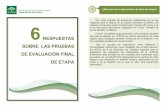 RESPUESTAS SOBRE LAS PRUEBAS DE ETAPA · En Primaria las pruebas evalúan la adquisición de la competencia lingüística (español e inglés), la competencia matemática y las competencias