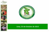Lima, 23 de Octubre de 2013 - midis.gob.pe · indicadores que contribuyeron para disminuir la desnutricion cronica infantil en la region indicadores que contribuyeron al logro 2007