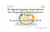 Experiencia CONPAPA... · 2017-05-04 · ORGANIZACIONES DE BASE Y SEGUNDO GRADO ... promedio 2500 qq/mes. ... Abril 7,58 18,19 20,11 13,73