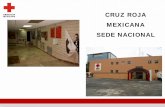 CRUZ ROJA MEXICANA SEDE NACIONAL - …€¦ · Sra. Luz González Cosío de López , a quien se le considera como Fundadora de la Cruz Roja Mexicana. Históricamente, el nacimiento