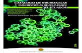CATÁLOGO DE MICROALGAS - energia.org.ecenergia.org.ec/cie/wp...de-Microalgas-y-Cianobacterias-del-Ecuador.pdf · catÁlogo de microalgas y cianobacterias de agua dulce del ecuador