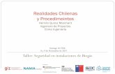 Realidades Chilenas y Procedimeintos · Ingeniero de Proyectos Cinka Ingeniería Santiago de Chile 8 y 9 de Noviembre de 2017 Taller: Seguridad en instalaciones de Biogás . ... Flecha