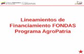 Lineamientos de Financiamiento FONDAS Programa AgroPatria · sujetas a la evaluación y revisión del plan de inversiones, ciclo productivo, rubro y la capacidad de pago del solicitante.
