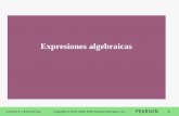 Expresiones algebraicas - … · con las operaciones de suma, resta, multiplicación o división, así como potencias o raíces, se llama una expresión ... • Dos expresiones algebraicas