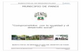 MUNICIPIO DE PANDI · 2012-12-18 · El Municipio de Pandi Cundinamarca en cumplimiento a dispuesto en la Ley 819 ... Un Plan Financiero que contenga las metas de financiamiento con