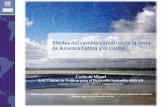 Carlos de Miguel Jefe, Unidad de Políticas para el ... · •Los valores máximos de aceleración se detectan en el norte de Brasil, Venezuela (República Bolivariana de) y la parte