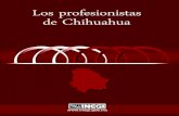 Los profesionistas de Chihuahuainternet.contenidos.inegi.org.mx/contenidos/productos/prod_serv/... · Los profesionistas de Chihuahua. Publicacion unica. Edicion unica. 108 p.p. Documento