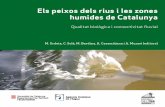Els peixos dels rius i les zones humides de Catalunya · de referència que s’apliquen en diferents països i situa-cions siguin equivalents, la directiva preveu que es por-tin