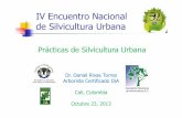 Silvicultura Urbana 1 - Daniel Rivas · Dr. Daniel Rivas Torres ArboristaCertificado ISA Cali, Colombia Octubre 23, 2013 IV Encuentro Nacional de Silvicultura Urbana Prácticas de